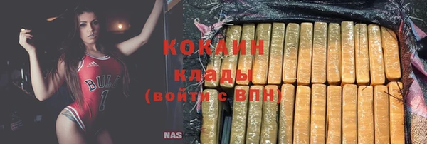прущие грибы Гусев