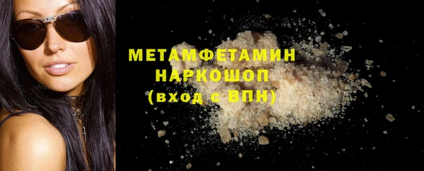 прущие грибы Гусев