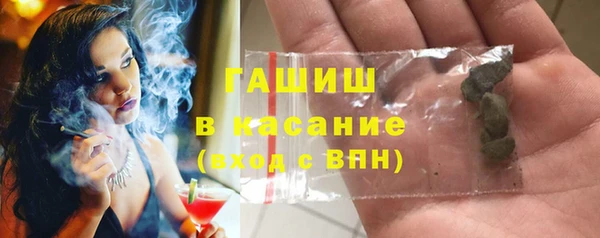 прущие грибы Гусев