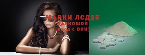 прущие грибы Гусев