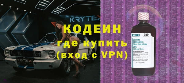 прущие грибы Гусев